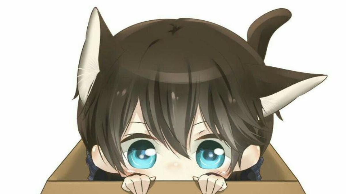 Hình nền máy tính mèo simmy chibi