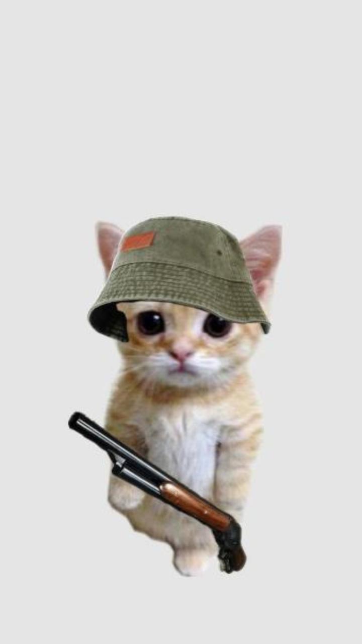 Hình nền mèo cầm súng cute hài hước cho điện thoại 