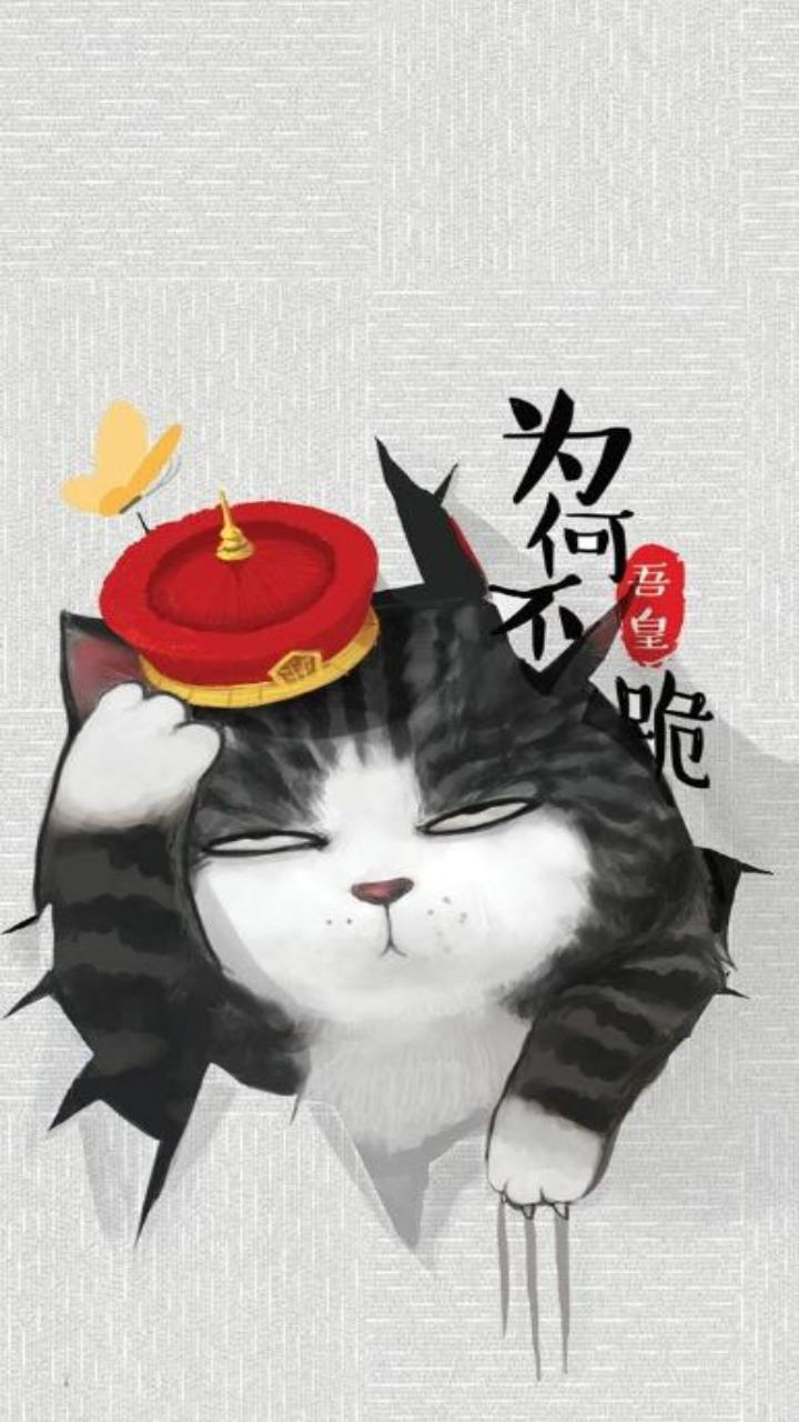Hình nền mèo hoàng thượng dễ thương 