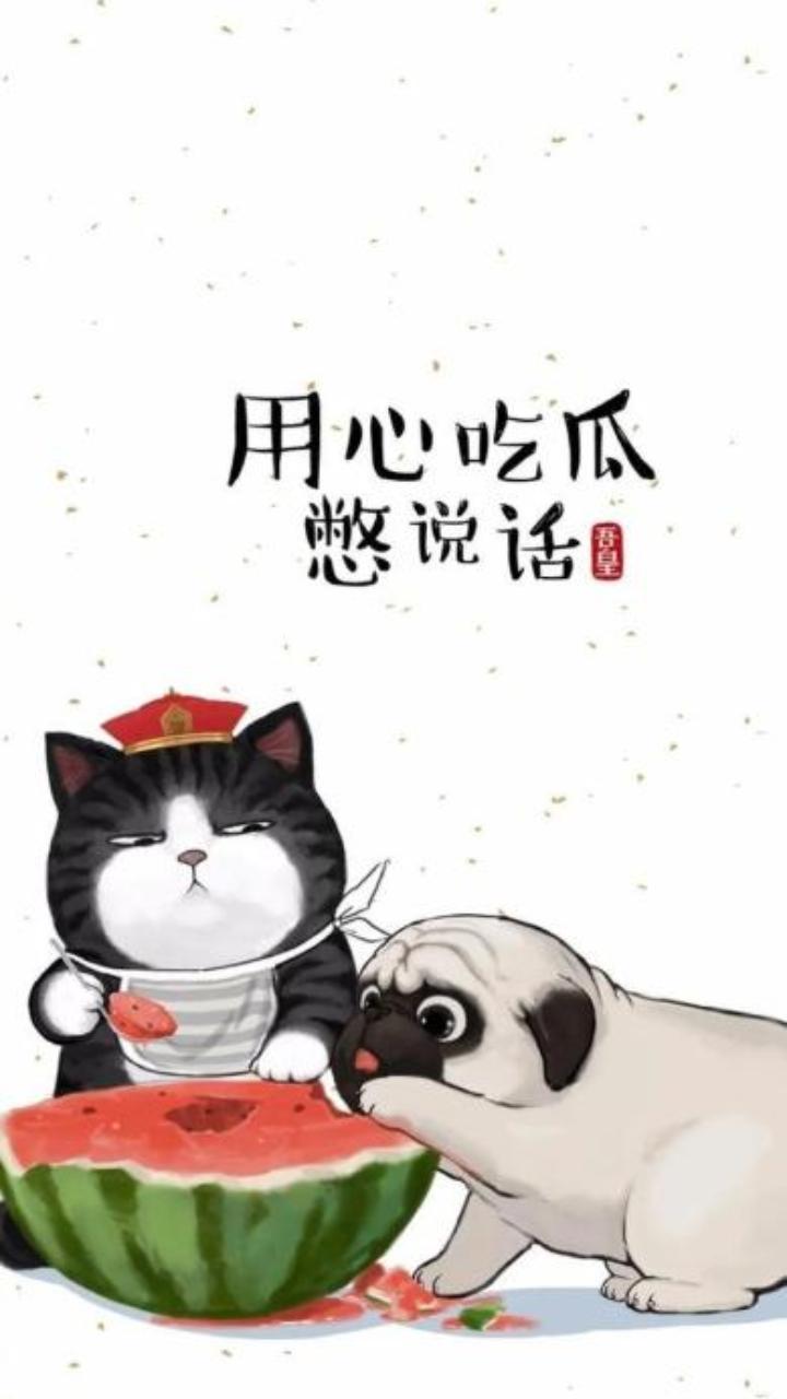 Hình nền mèo hoàng thượng dễ thương 