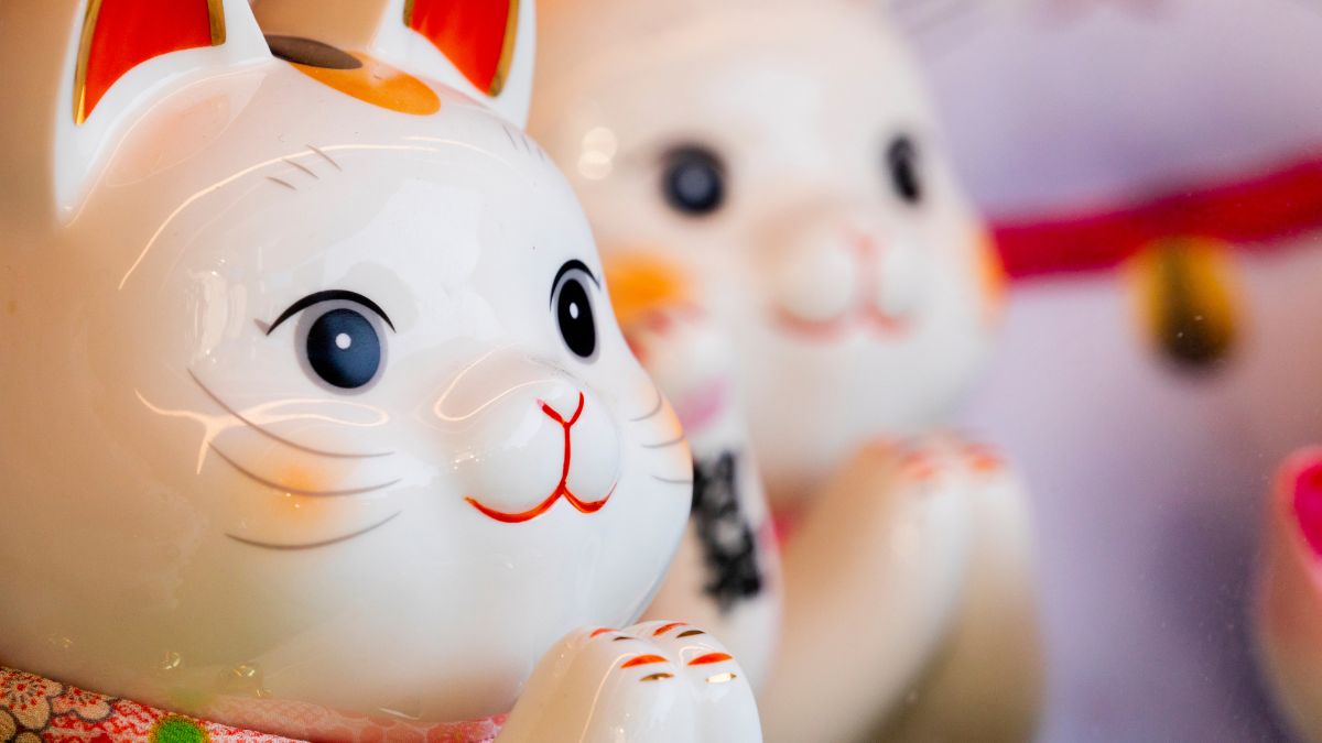 Hình nền máy tính ảnh mèo thần tài 